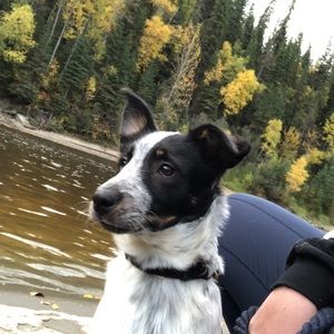 Meet your Posher, Jaycee